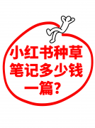 3个月内产篇高赞笔记